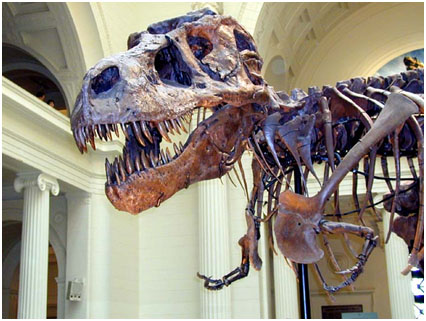 Source – New York Museum of Science