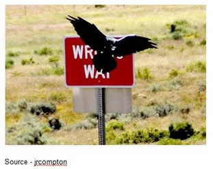 Discontent or Disaster – The boss isn’t always going to make the decisions you agree with but a good boss will listen/consider alternatives. If you still think he’s wrong, then it’s time to leave without making a scene internally or externally. If the vultures are gathering, you proved your point.