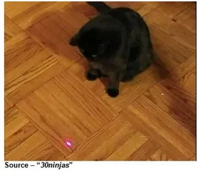 Leading in VR – The easiest way for Lewis to explain how the filmmaker can encourage virtual viewers is that it’s very similar to the way he gets his cat to follow a laser pointer with subtle guides.